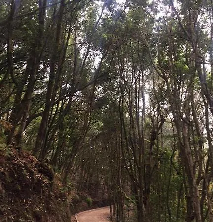 Casa Rural El Guanche Lantställe Erjos-El Tanque