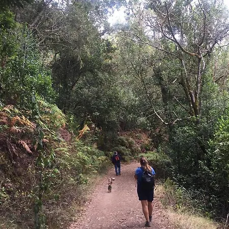 Casa Rural El Guanche בית כפרי