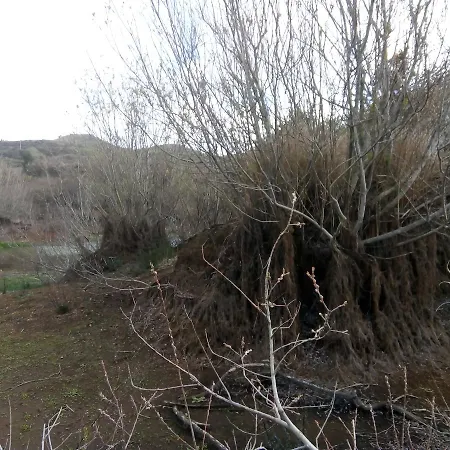 Casa Rural El Guanche בית כפרי Erjos-El Tanque